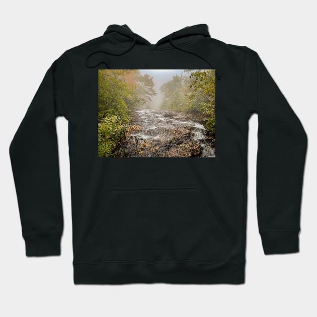 Top of the Falls Hoodie by Ckauzmann